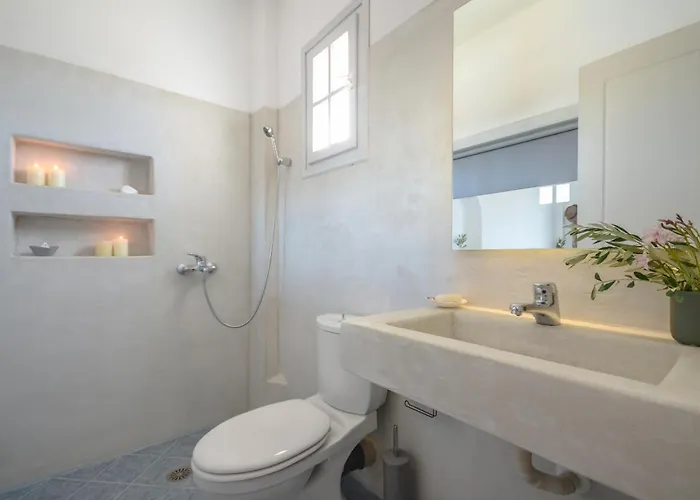 Akrolithos 스텔리다