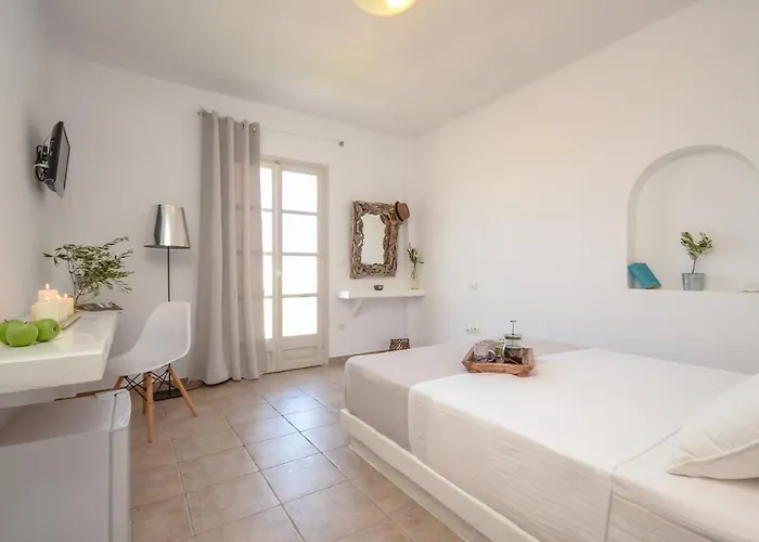 Akrolithos 스텔리다